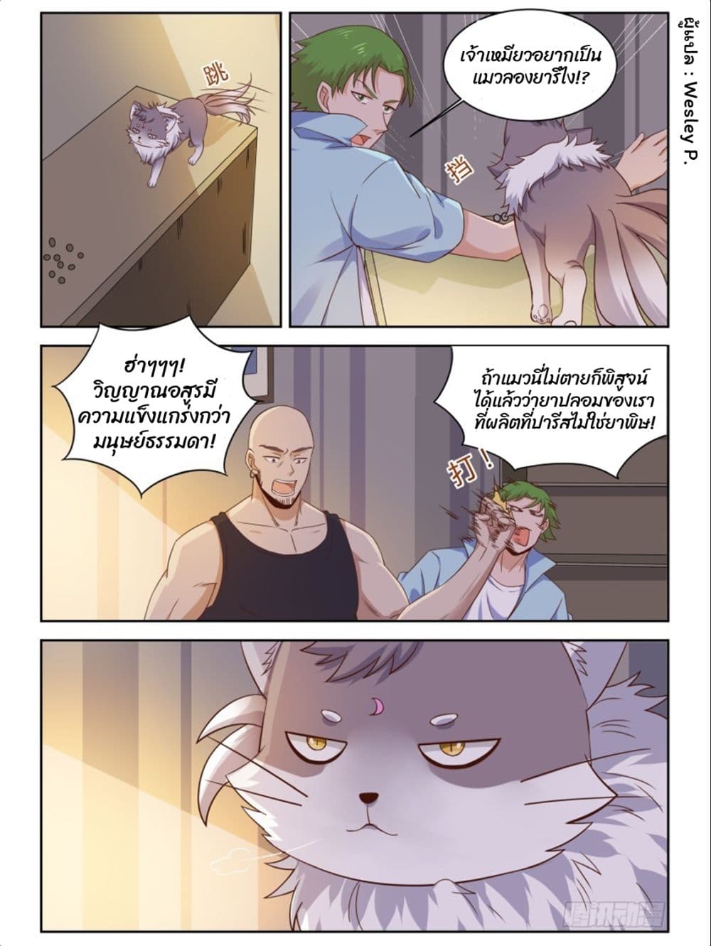 Page 5