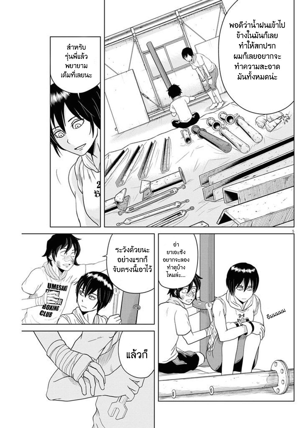 Page 5